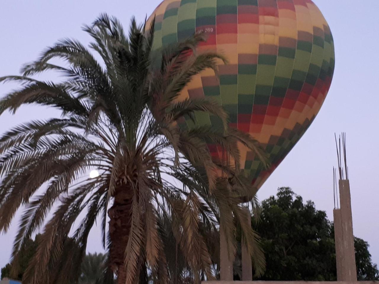 Sunflower Guest House Luxor West Bank Exterior foto